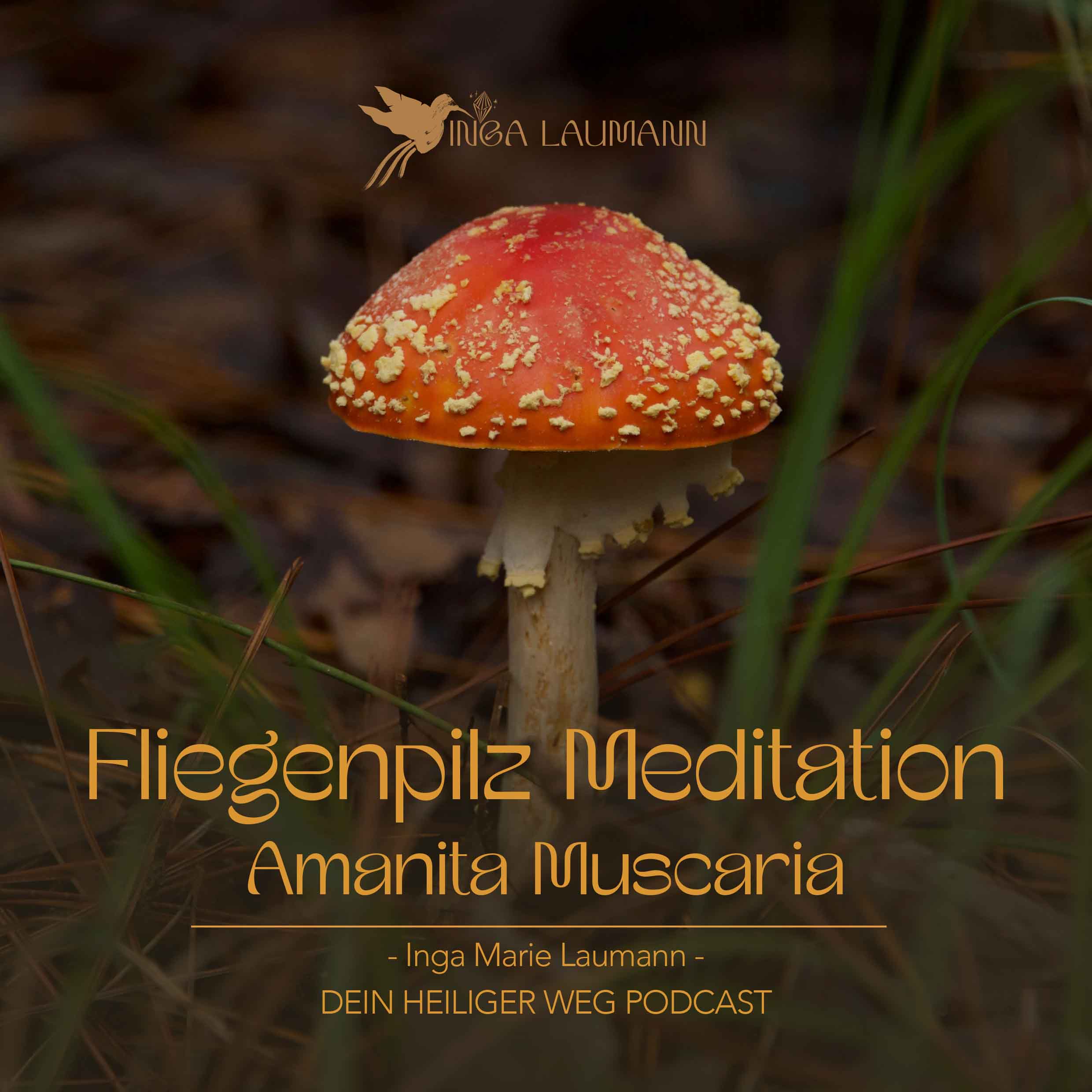 141# Amanita Muscaria Meditation - Nähre deine Fliegenpilz Einweihung